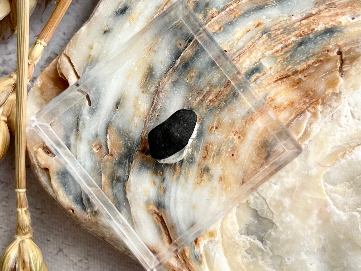 Метеорит каменный хондрит в пластиковом боксе MT-0027, фото 4
