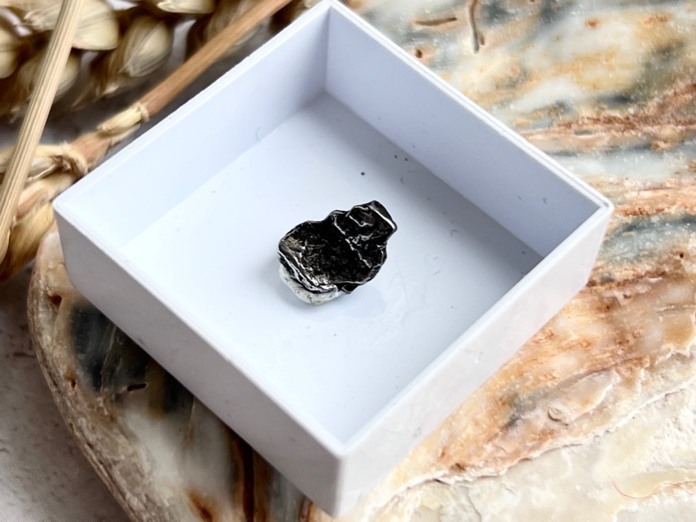 Метеорит Кампо-дель-Сьело в пластиковом боксе MT-0032, фото 2