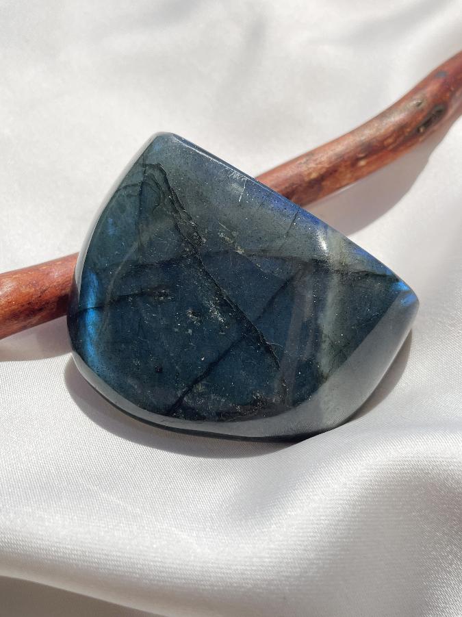 Лабрадор, 4 х 5,5 х 2 см OBM-1569, фото 3