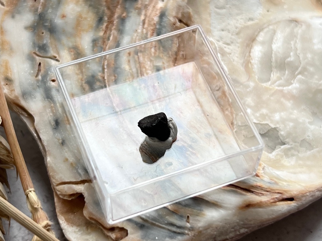 Метеорит каменный хондрит в пластиковом боксе MT-0025, фото 1