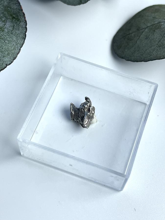 Метеорит Кампо-дель-Сьело в пластиковом боксе MT-0048, фото 3