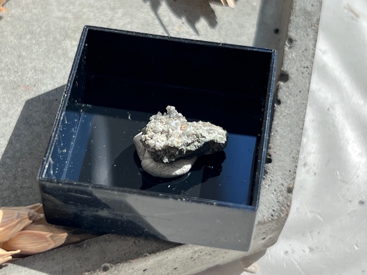 Образец серебра в пластиковом боксе OBM-0912, фото 1