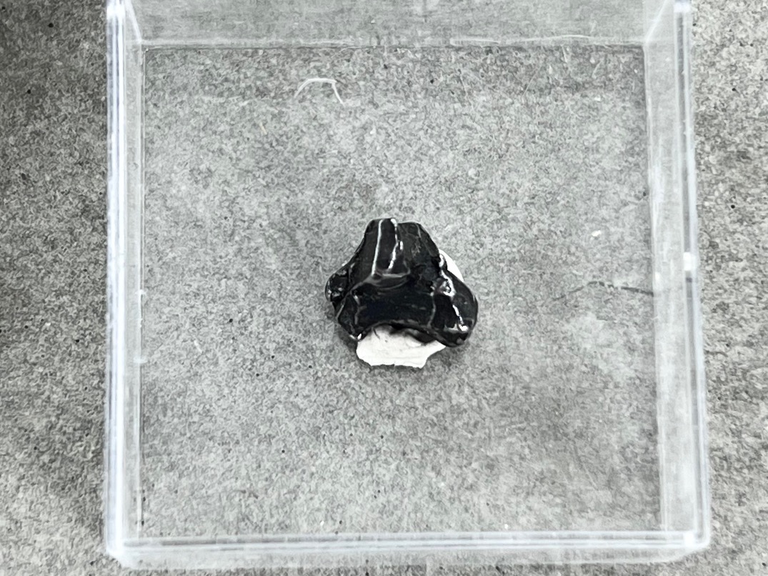 Метеорит Кампо-дель-Сьело в пластиковом боксе MT-0020, фото 3
