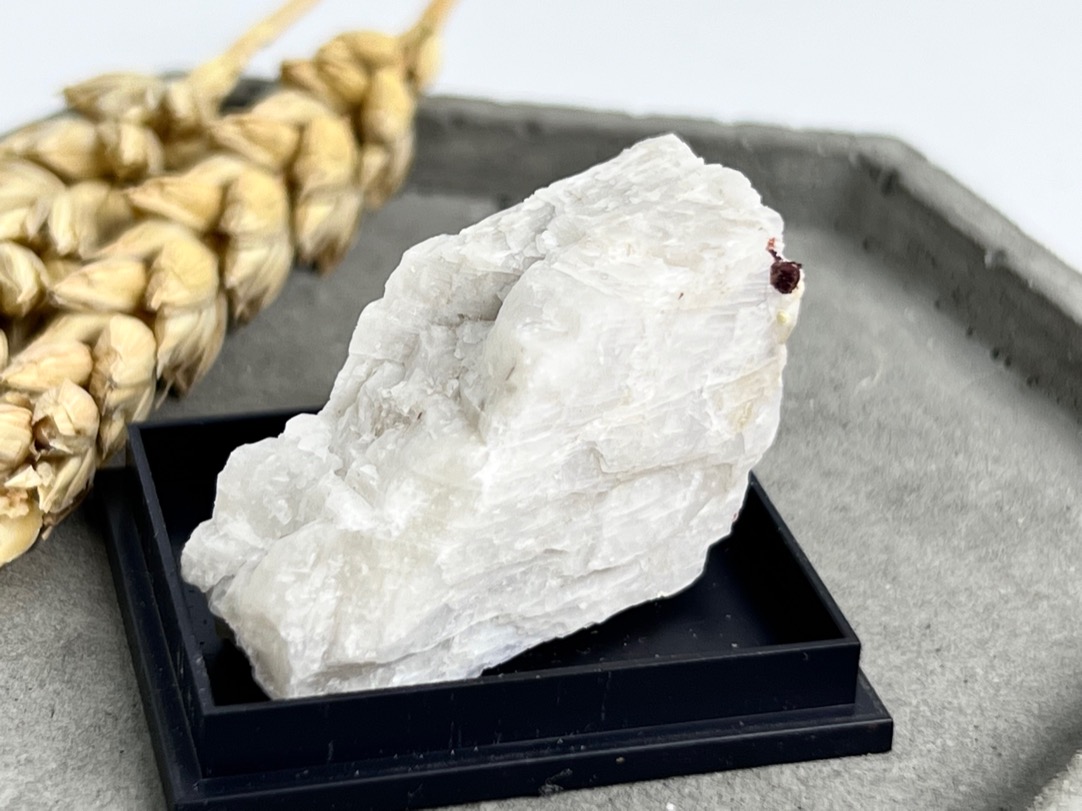 Образец беломорита (лунный камень) в пластиковом боксе OBM-0555, фото 3