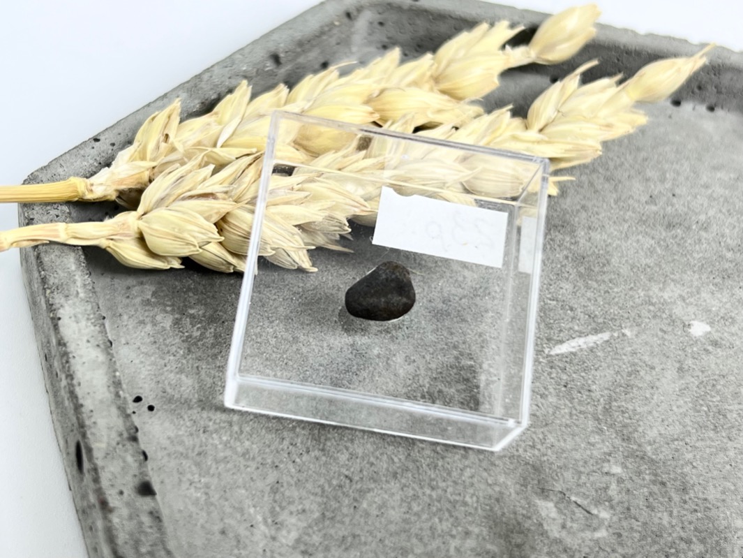 Метеорит каменный хондрит в пластиковом боксе MT-0024, фото 2
