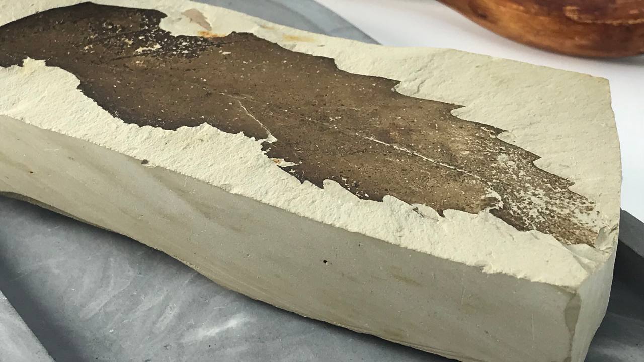 Отпечаток ископаемого листка Erdobenye, 12,0x3,0 см OIL-0004, фото 2