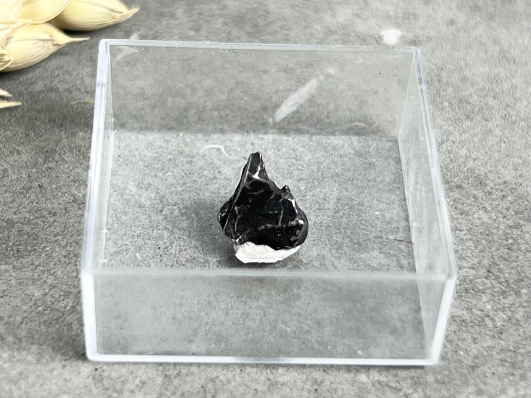 Метеорит Кампо-дель-Сьело в пластиковом боксе MT-0020, фото 5
