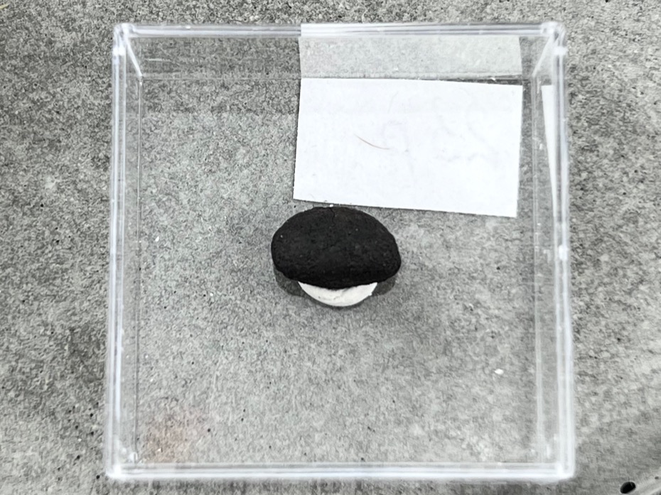 Метеорит каменный хондрит в пластиковом боксе MT-0021, фото 3