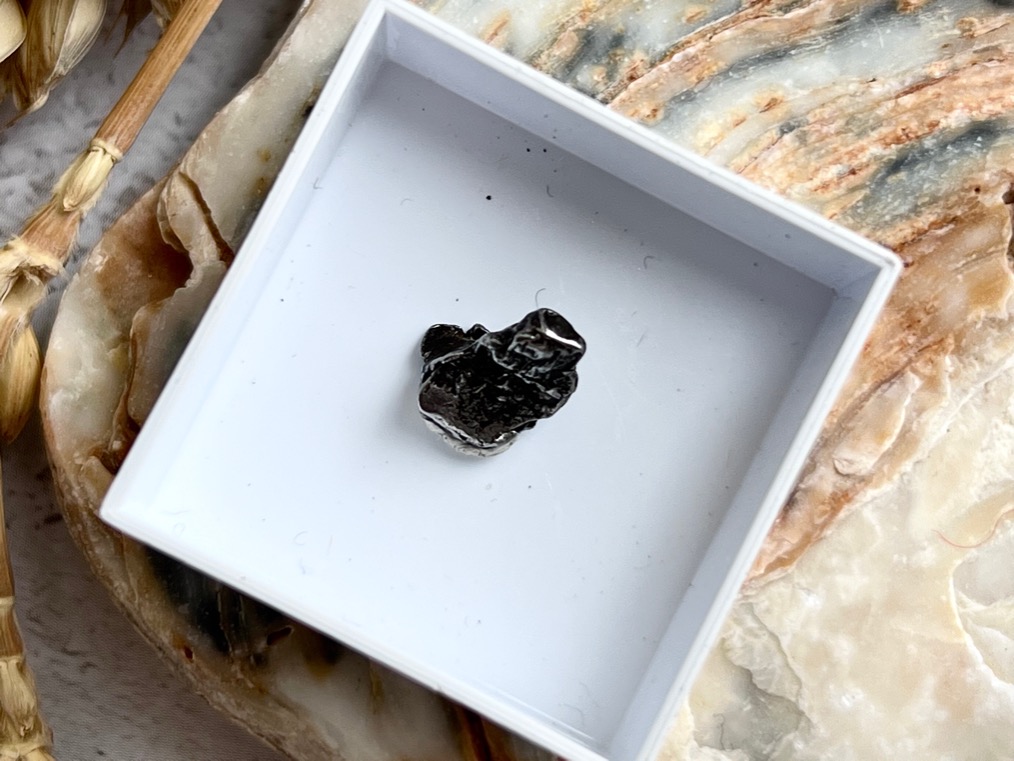 Метеорит Кампо-дель-Сьело в пластиковом боксе MT-0032, фото 3