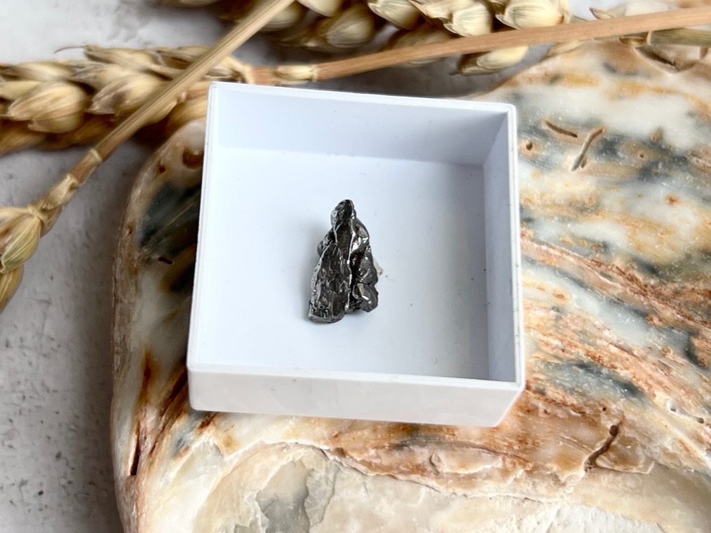 Метеорит Кампо-дель-Сьело в пластиковом боксе MT-0030, фото 2