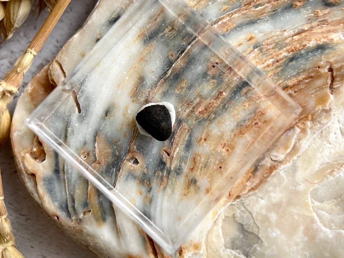 Метеорит каменный хондрит в пластиковом боксе MT-0028, фото 4