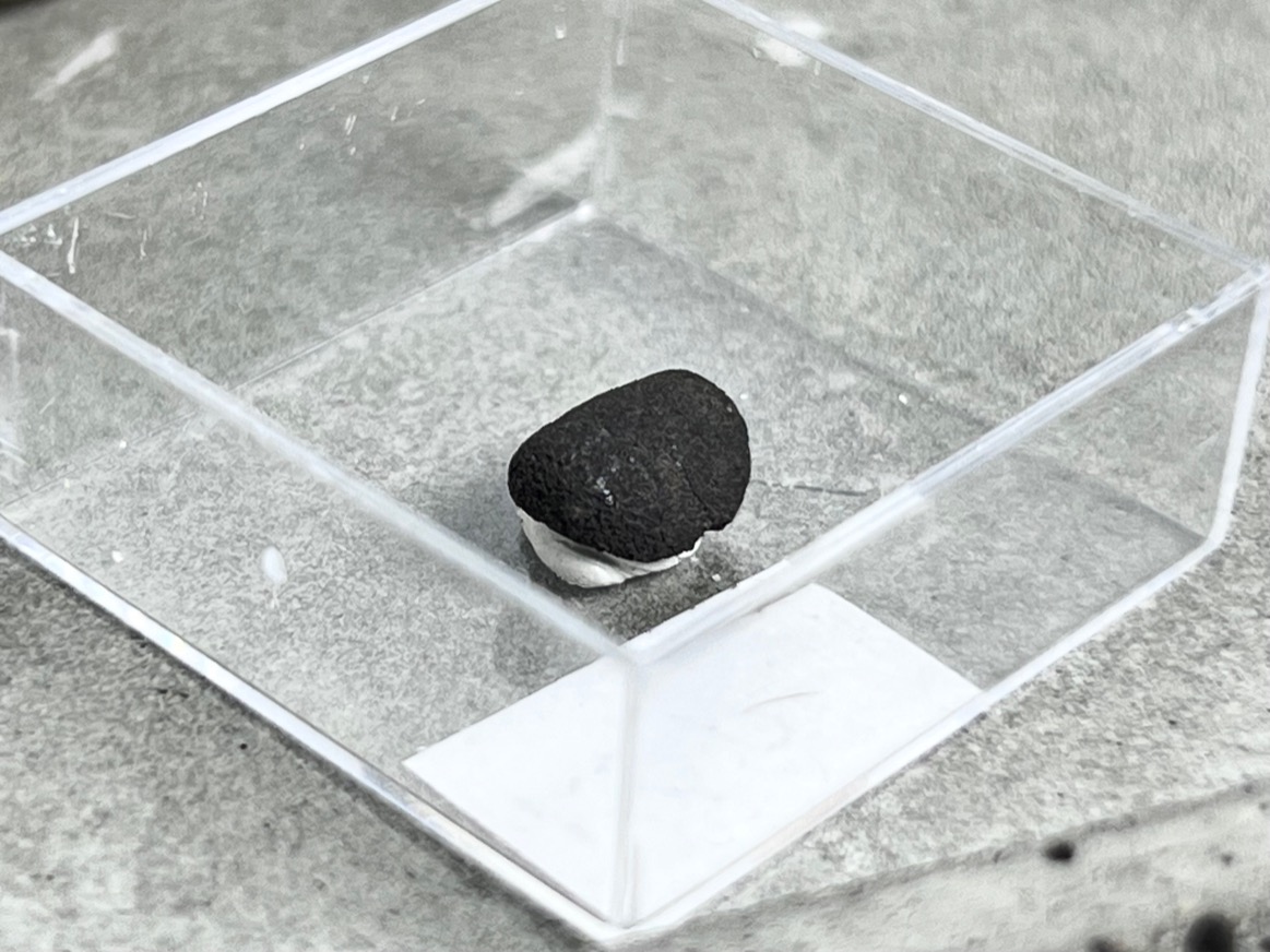Метеорит каменный хондрит в пластиковом боксе MT-0021, фото 1