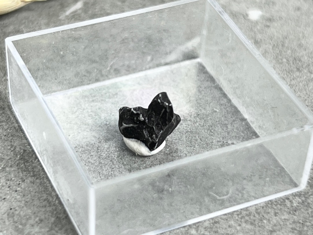 Метеорит Кампо-дель-Сьело в пластиковом боксе MT-0020, фото 1
