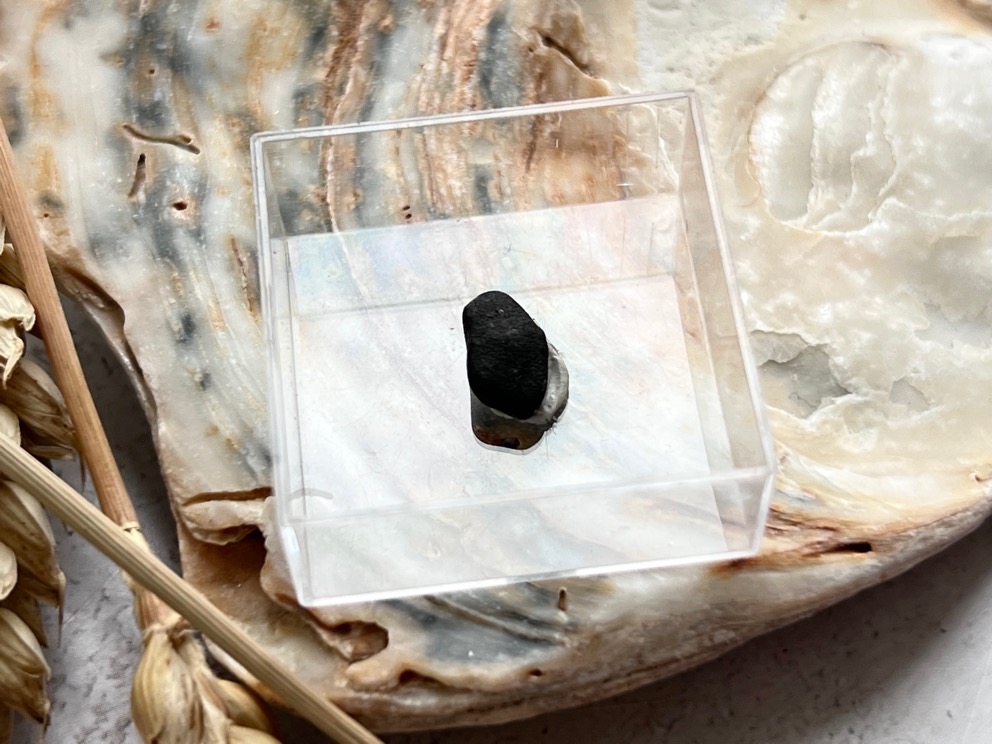 Метеорит каменный хондрит в пластиковом боксе MT-0027, фото 2