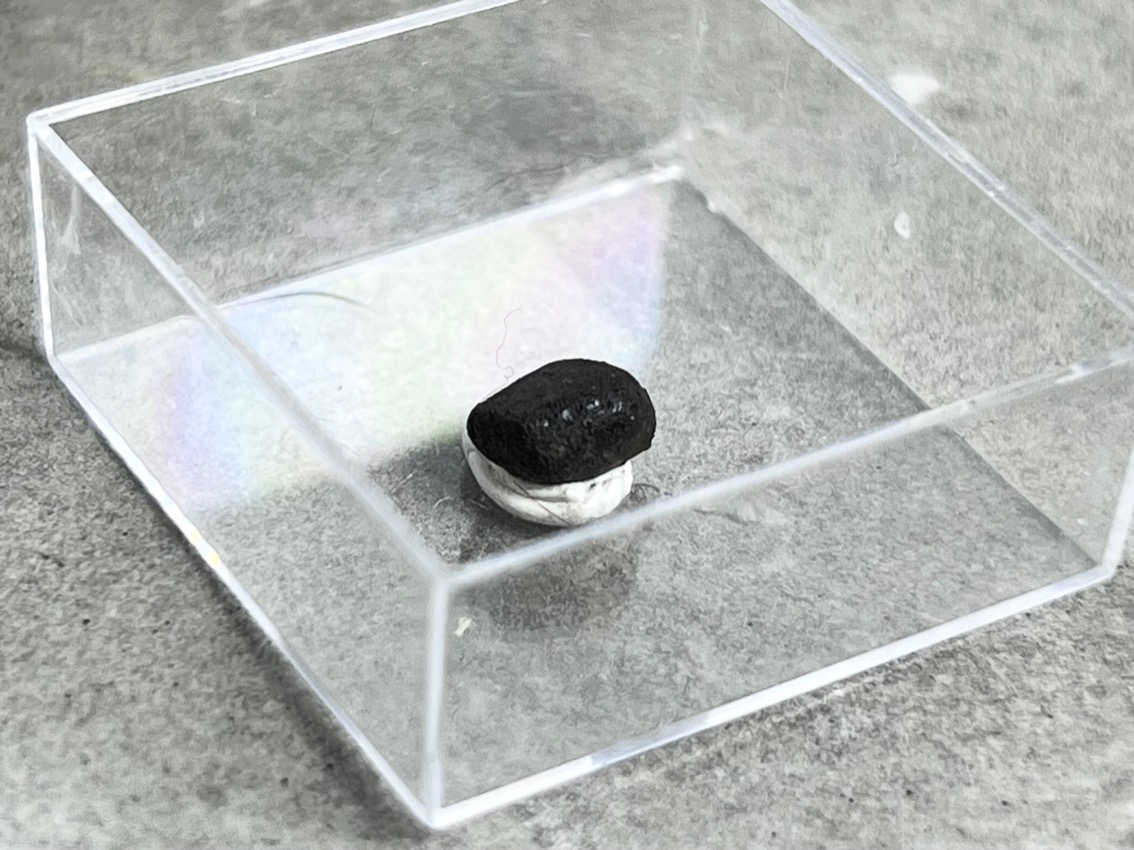 Метеорит каменный хондрит в пластиковом боксе MT-0023, фото 4