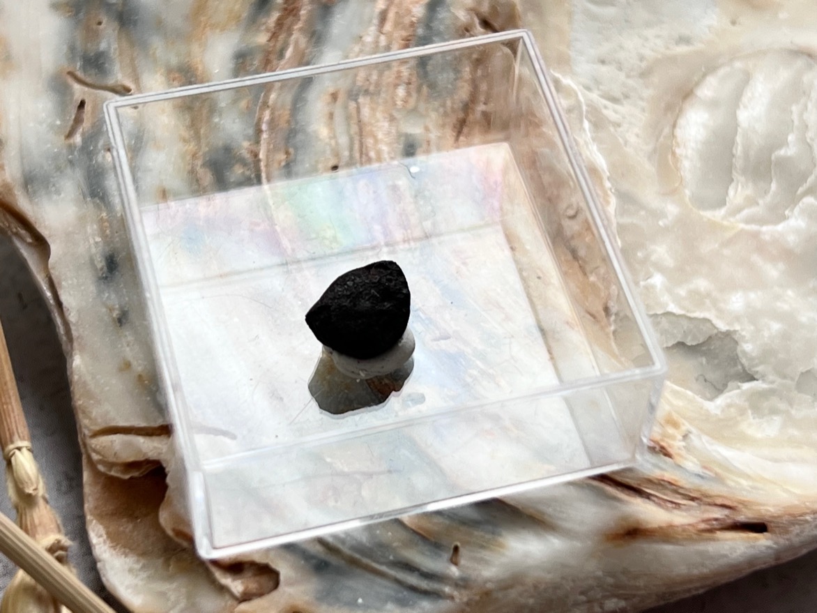Метеорит каменный хондрит в пластиковом боксе MT-0026, фото 2
