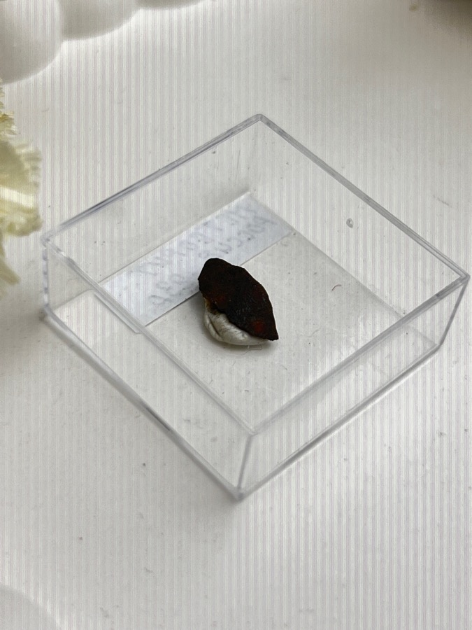 Метеорит каменный хондрит в пластиковом боксе MT-0039, фото 1