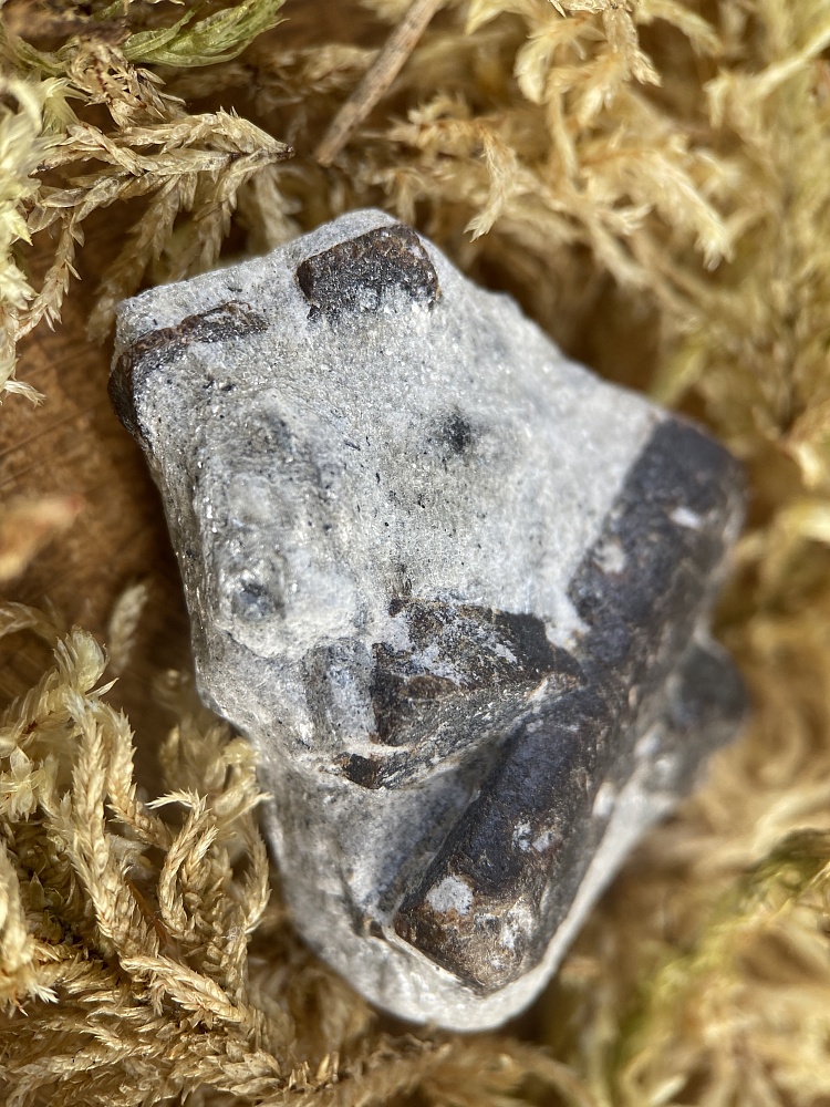 Ставролит, 3,6 х 2,7 х 1,4 см. OBM-0255, фото 4