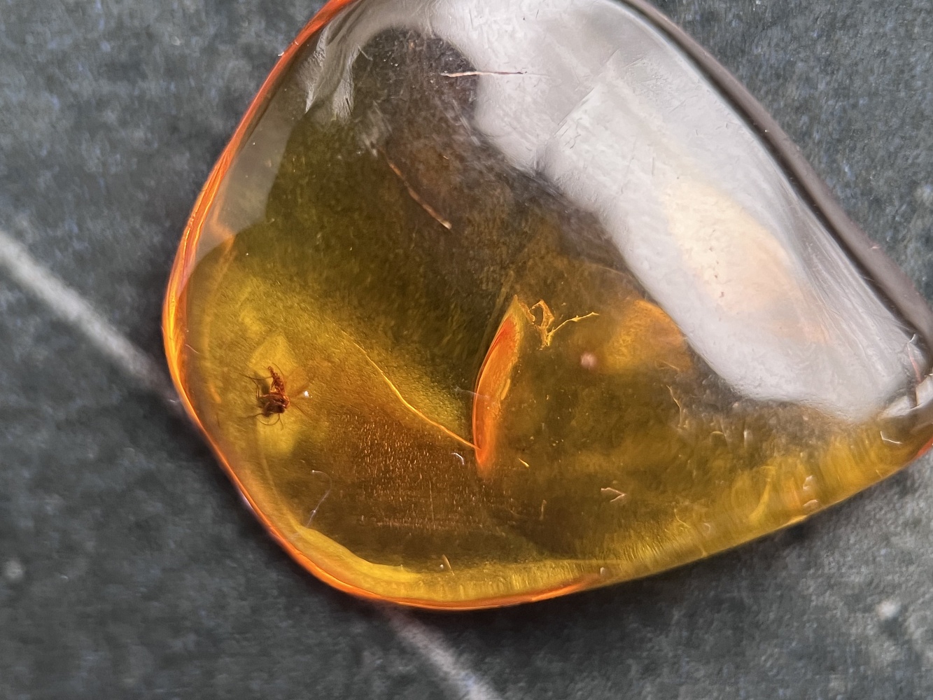 Янтарь с инклюзом (комар) INKL-0008, фото 1