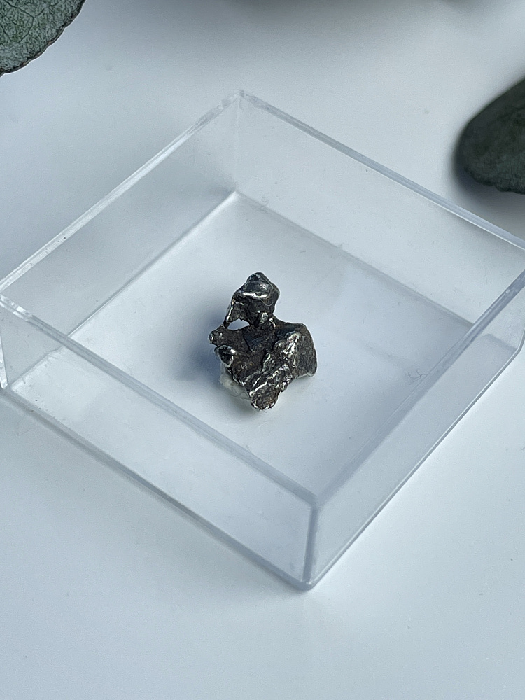 Метеорит Кампо-дель-Сьело в пластиковом боксе MT-0047, фото 3