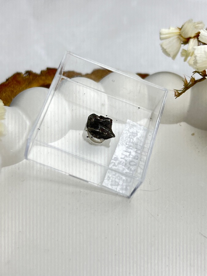 Метеорит Кампо-дель-Сьело в пластиковом боксе MT-0044, фото 1
