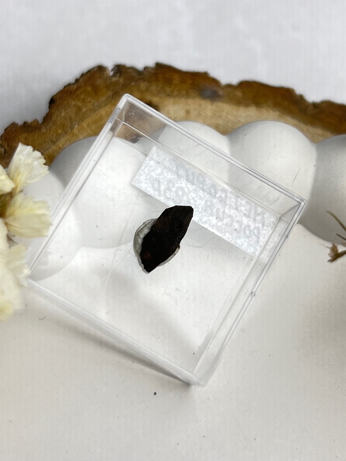 Метеорит каменный хондрит в пластиковом боксе MT-0039, фото 3