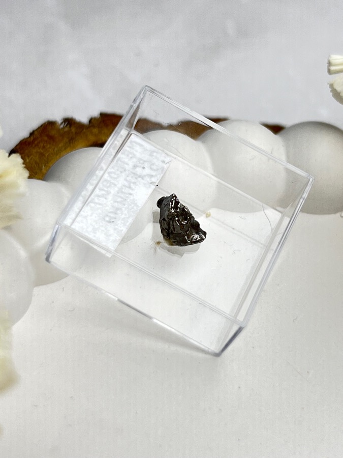 Метеорит Кампо-дель-Сьело в пластиковом боксе MT-0045, фото 1