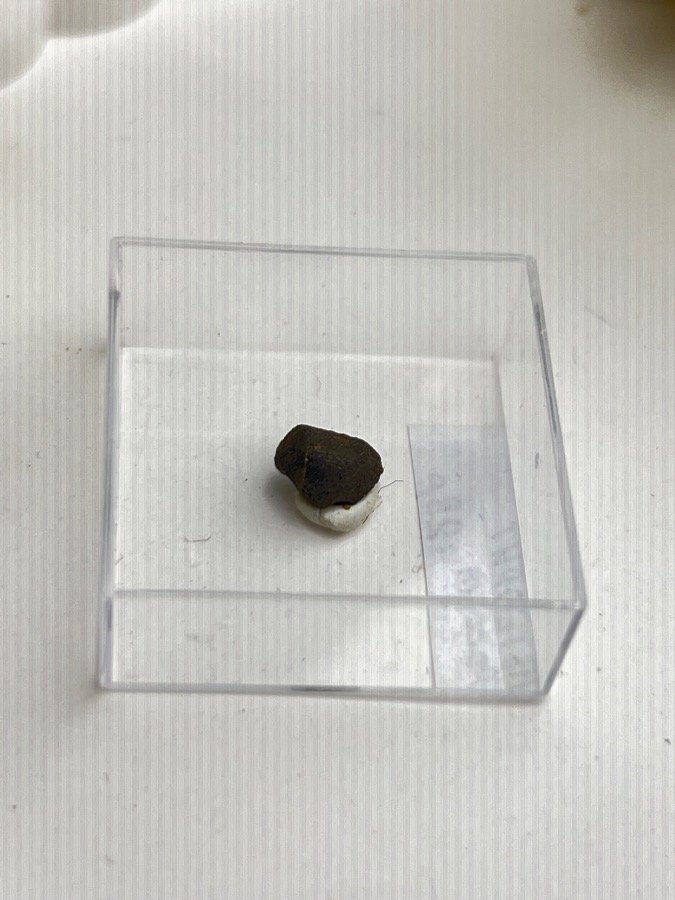 Метеорит каменный хондрит в пластиковом боксе MT-0040, фото 1