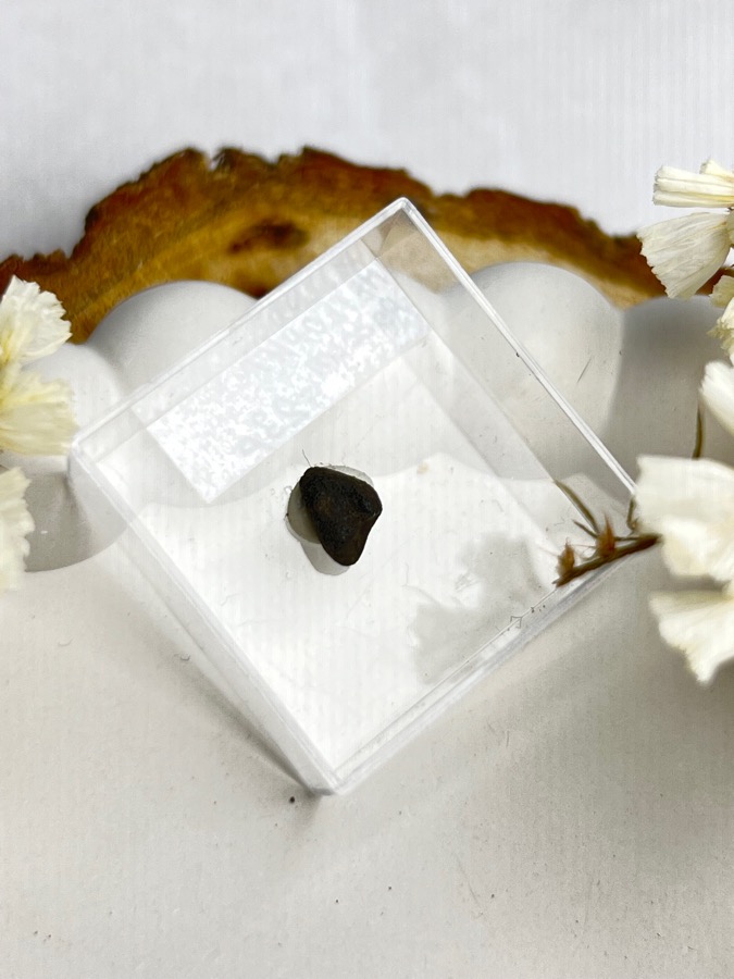 Метеорит каменный хондрит в пластиковом боксе MT-0040, фото 3