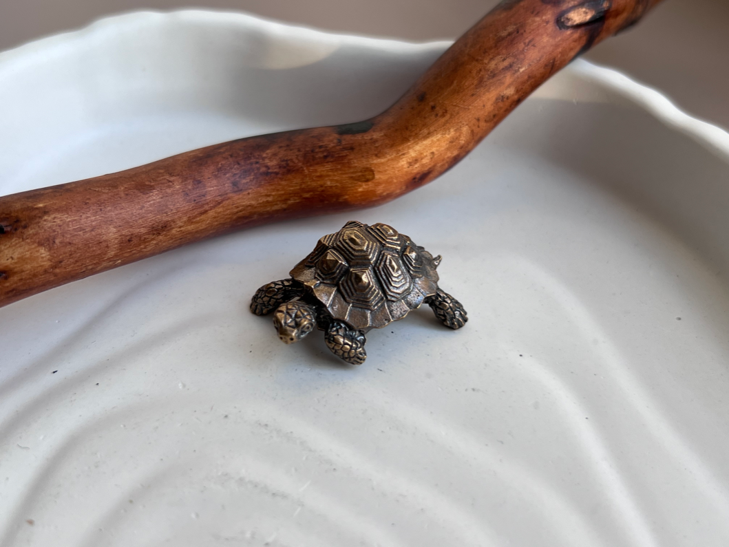 Черепаха из бронзы  FGB-0162, фото 2
