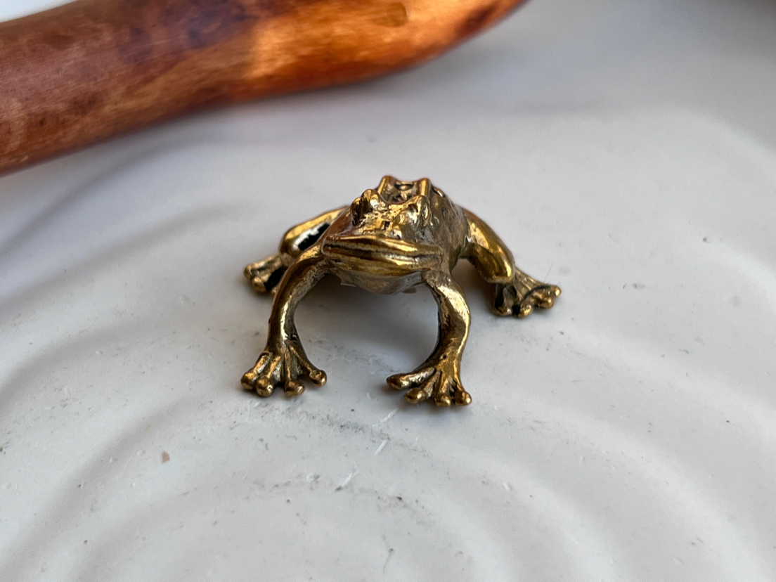 Лягушка из бронзы  FGB-0151, фото 3