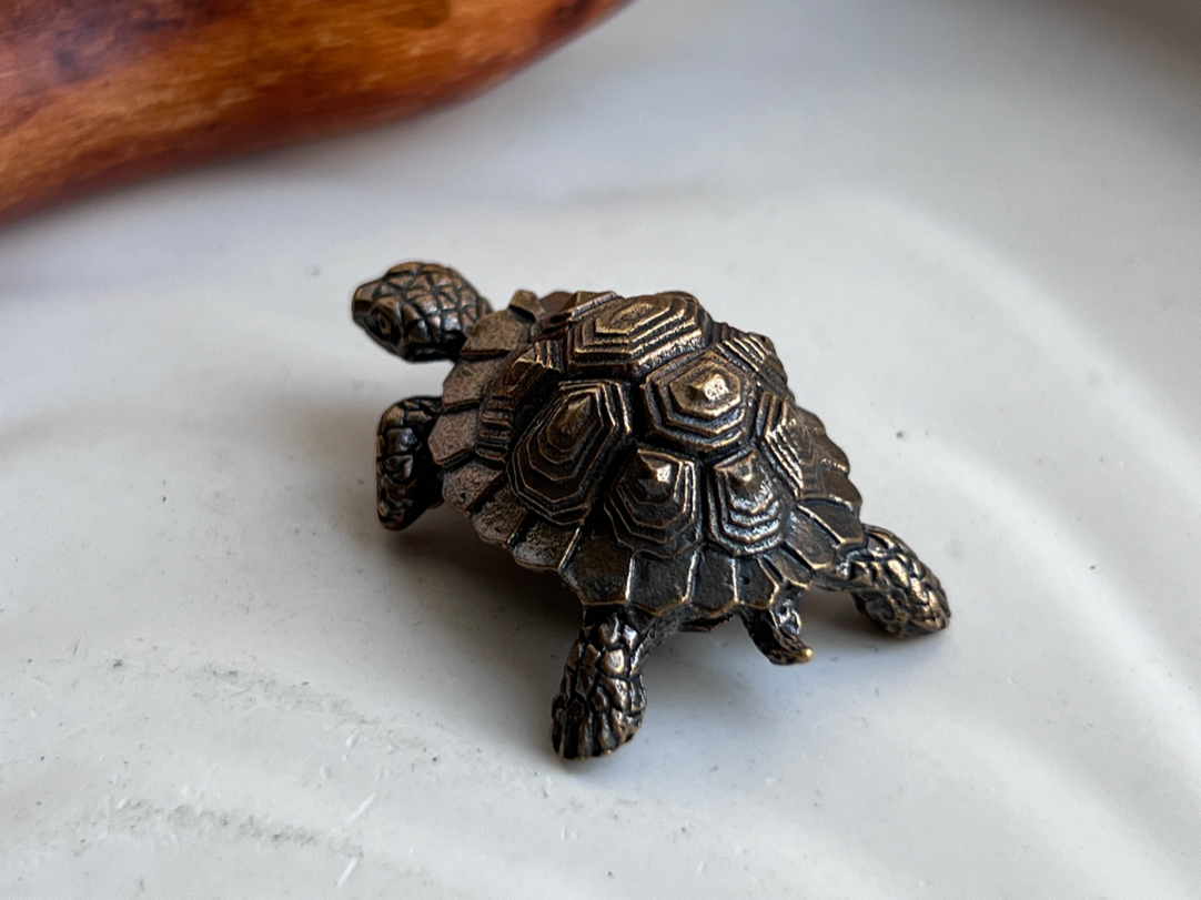 Черепаха из бронзы  FGB-0162, фото 3
