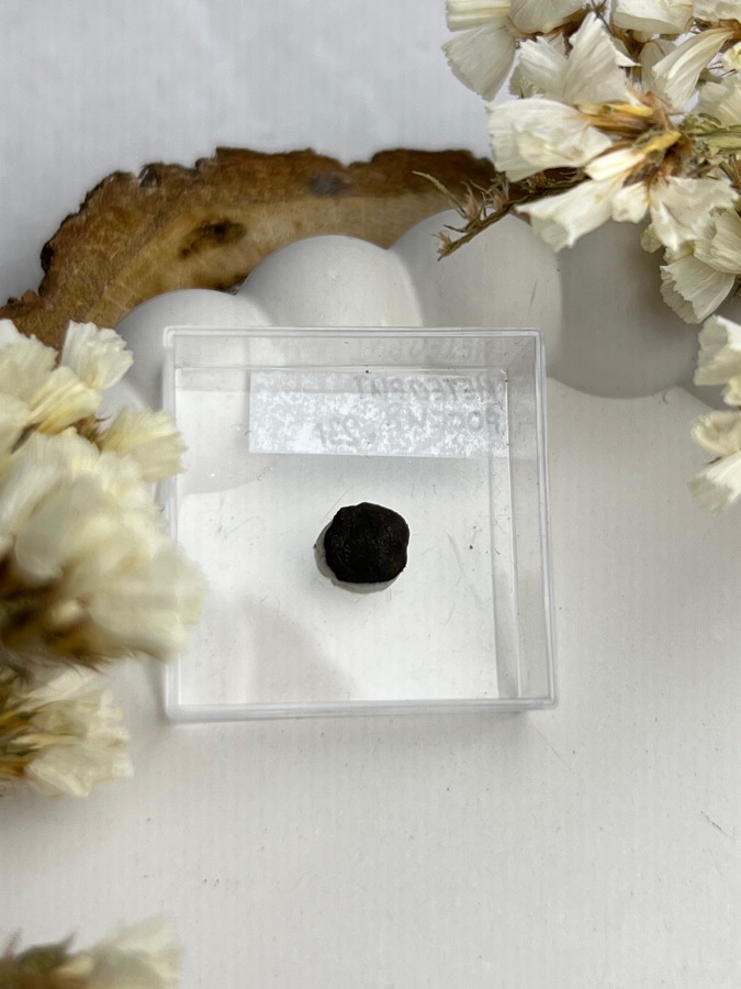 Метеорит каменный хондрит в пластиковом боксе MT-0038, фото 3