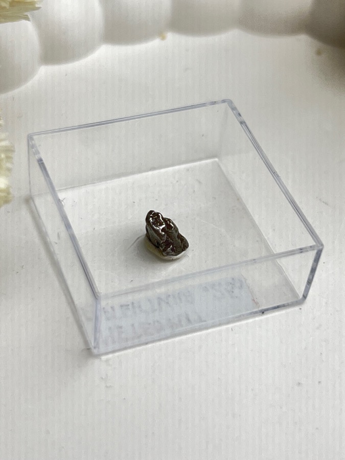 Метеорит Кампо-дель-Сьело в пластиковом боксе MT-0041, фото 3