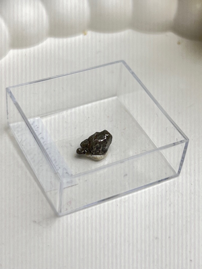 Метеорит Кампо-дель-Сьело в пластиковом боксе MT-0042, фото 3