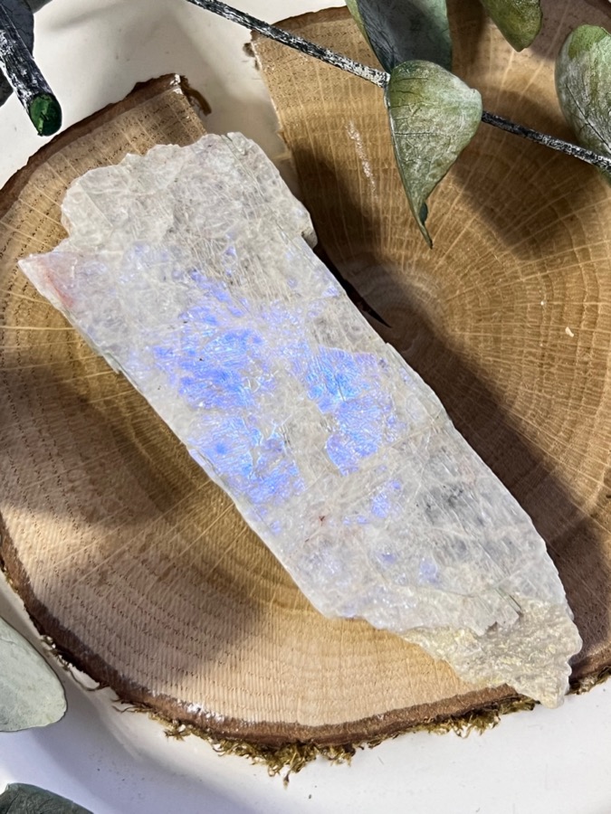 Беломорит (лунный камень), полированный срез 1,3 х 3,9 х 10,2 см SK-0133, фото 1