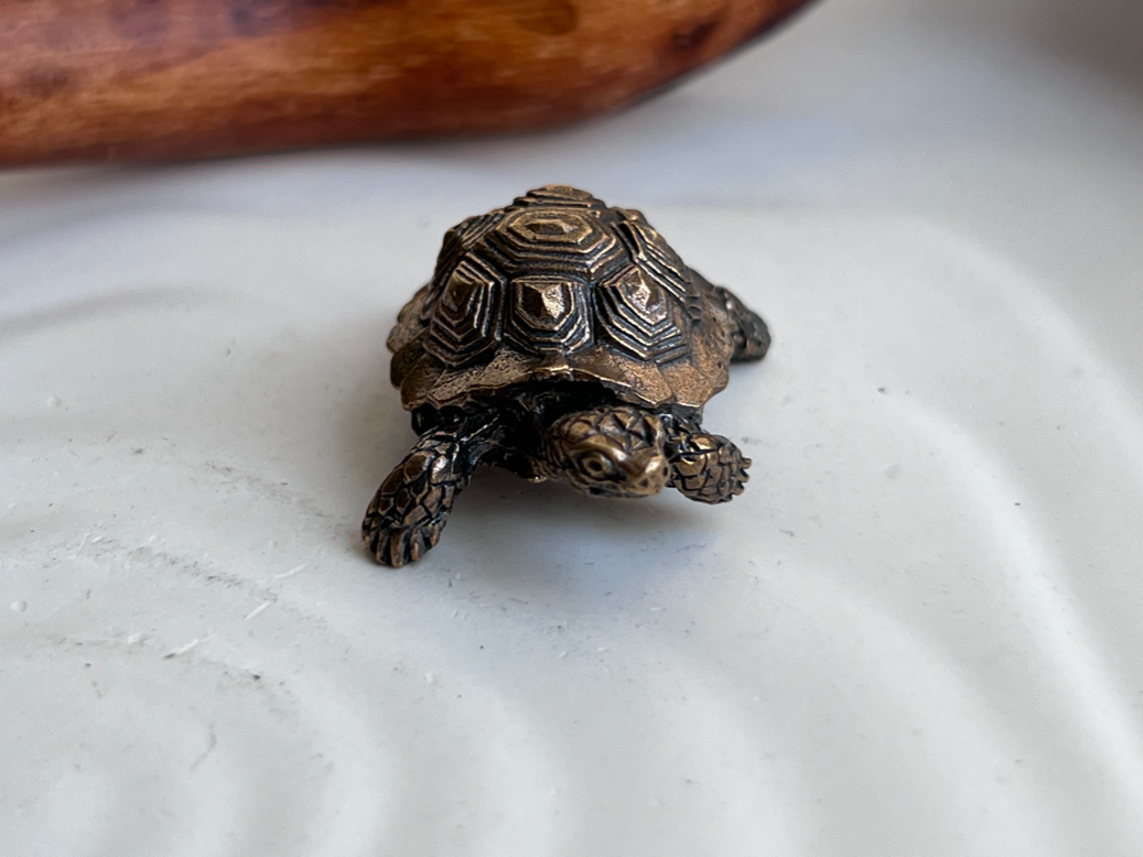 Черепаха из бронзы  FGB-0162, фото 6