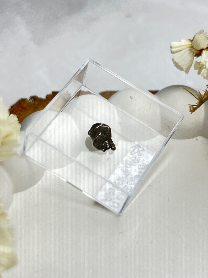 Метеорит Кампо-дель-Сьело в пластиковом боксе MT-0042, фото 1