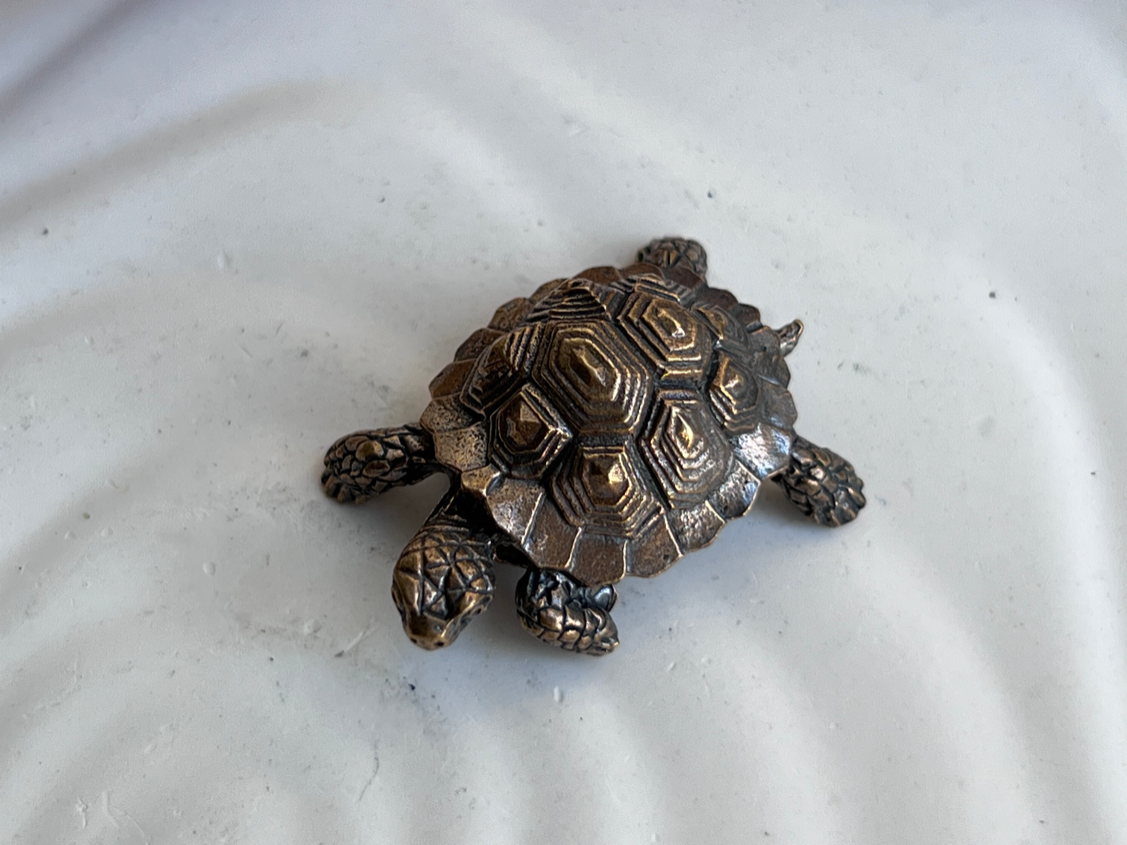 Черепаха из бронзы  FGB-0162, фото 7