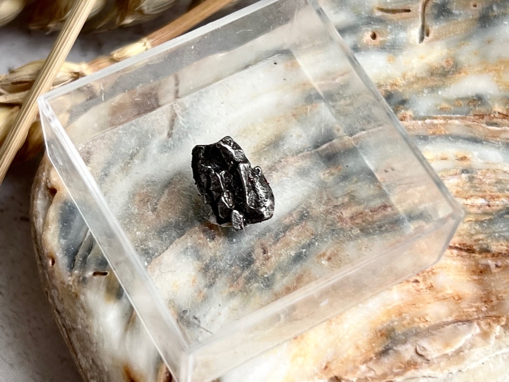 Метеорит Кампо-дель-Сьело в пластиковом боксе MT-0031, фото 1