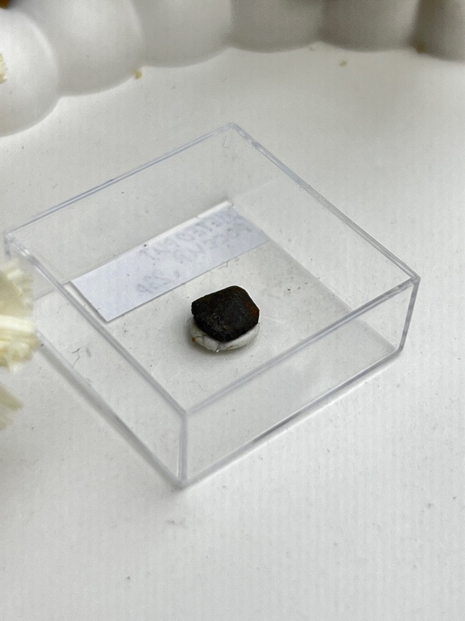 Метеорит каменный хондрит в пластиковом боксе MT-0038, фото 1