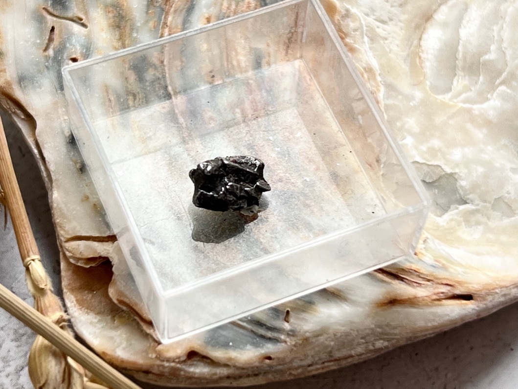 Метеорит Кампо-дель-Сьело в пластиковом боксе MT-0031, фото 2